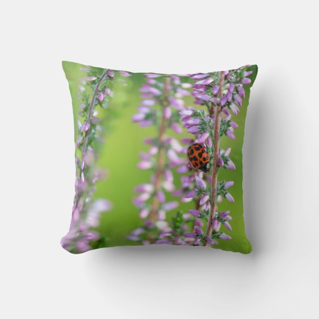 Coussin Coccinelle sur fleur violette - (Recto)
