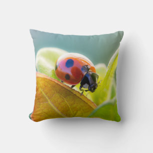 Coussin Coccinelle sur une feuille