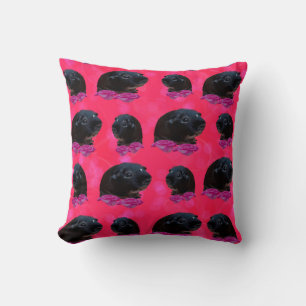 Coussin Cochons De Guinée Noire Sur Roses Roses Roses Rose