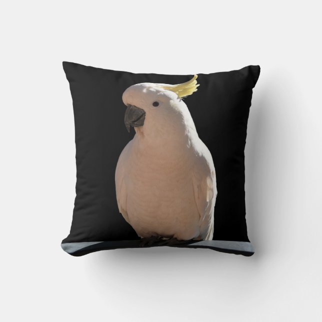 Coussin Cockatoo à Sundial Apartments Cushion (Recto)