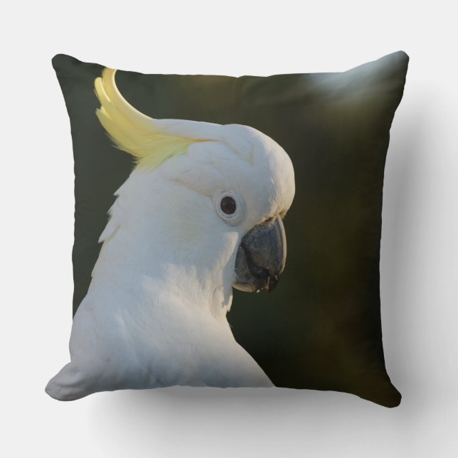 Coussin Cockatoo blanc exotique (Recto)