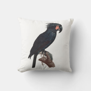 Coussin Cockatoo de palme, perroquet de probosciger