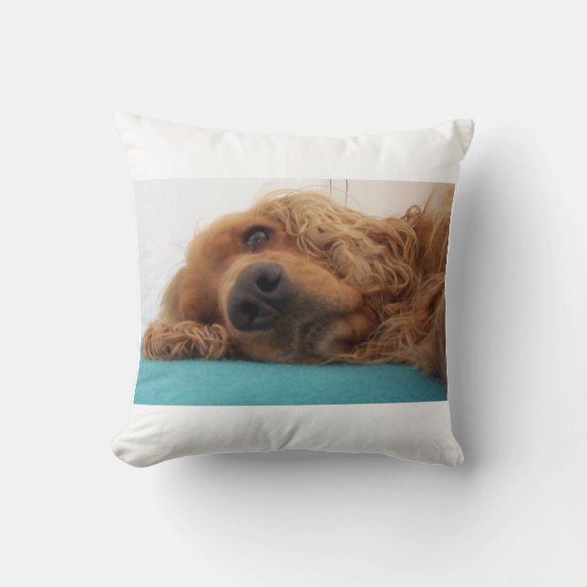 Coussin cocker anglais rouge 2.png (Recto)
