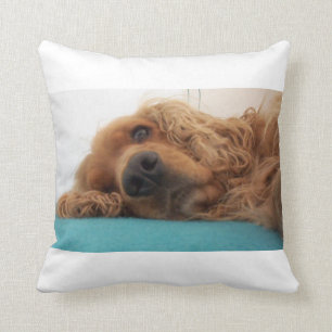 Coussin cocker anglais rouge 2.png