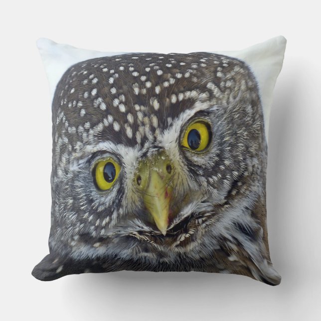 Coussin Cockeyed Owl (Recto)