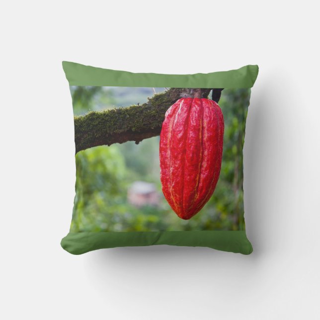 Coussin cocod (Recto)