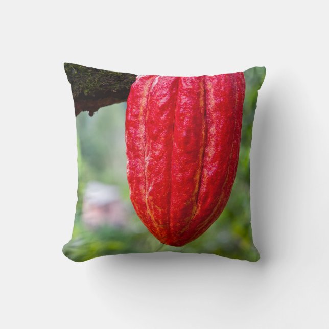 Coussin cocod (Recto)
