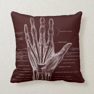 Coussin coeur et main - anatomie