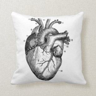 Coussin Coeur humain - anatomie