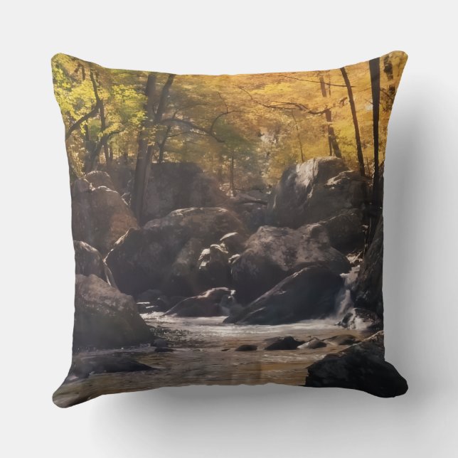 Coussin Cojín naturaleza relajante (Verso)