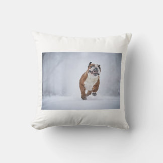 Coussin Cojin Perruno