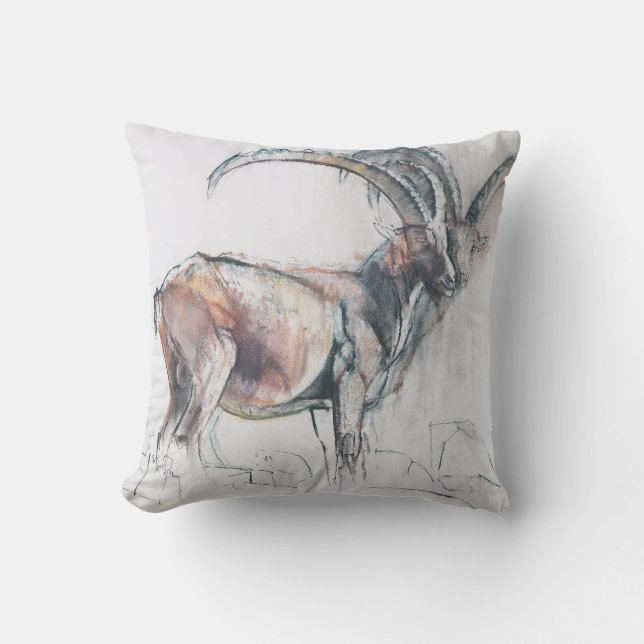 Coussin Col di Vermianaz (Recto)