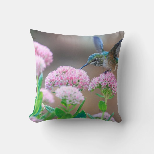 Coussin Colibri (Recto)