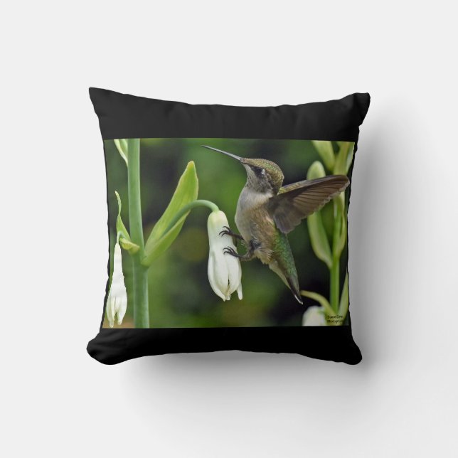 Coussin Colibri (Recto)