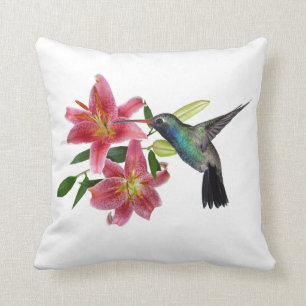 COUSSIN COLIBRI