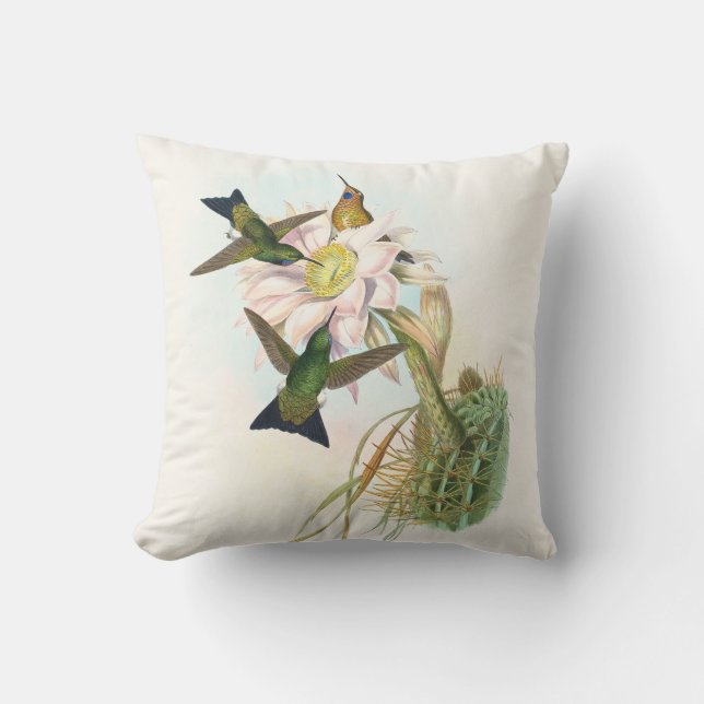 Coussin Colibri à pattes emplumées brillant par John Gould (Recto)