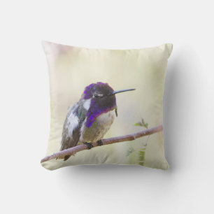 Coussin Colibri de Costa perché sur une branche