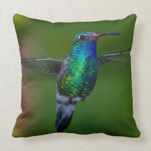 Coussin Colibri de flottement