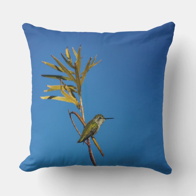 Coussin Colibri femelle  (Recto)