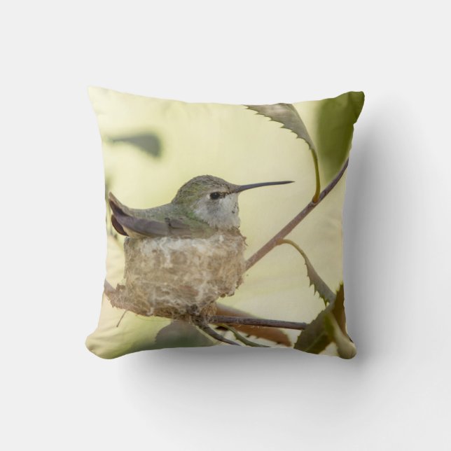 Coussin Colibri femelle sur son nid (Recto)