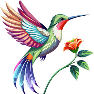 Coussin Colibri magnifique 