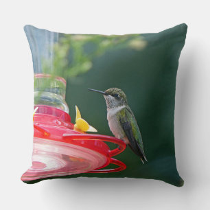 Coussin Colibri perché