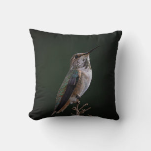 Coussin Colibri perché à la branche - Photographie d'oisea