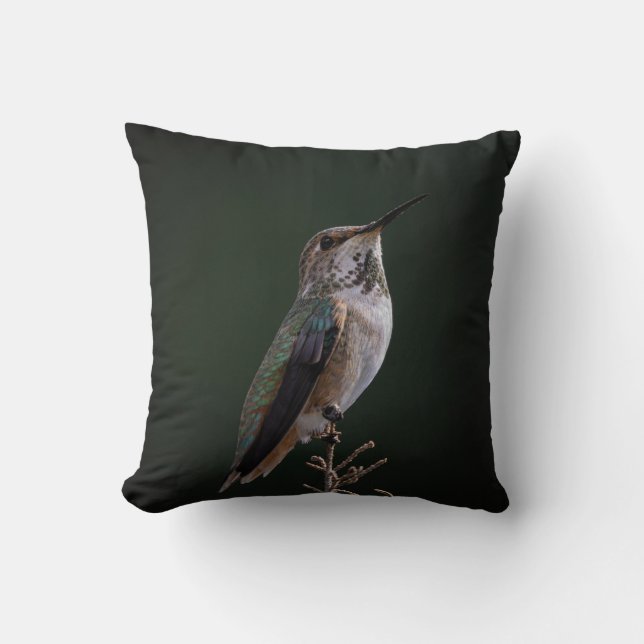 Coussin Colibri perché à la branche - Photographie d'oisea (Recto)