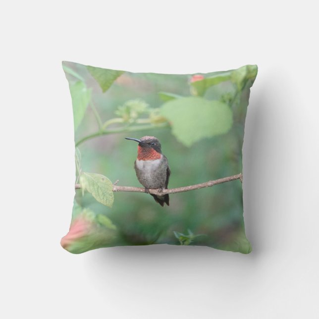 Coussin Colibri reposant sur la branche, vert (Recto)