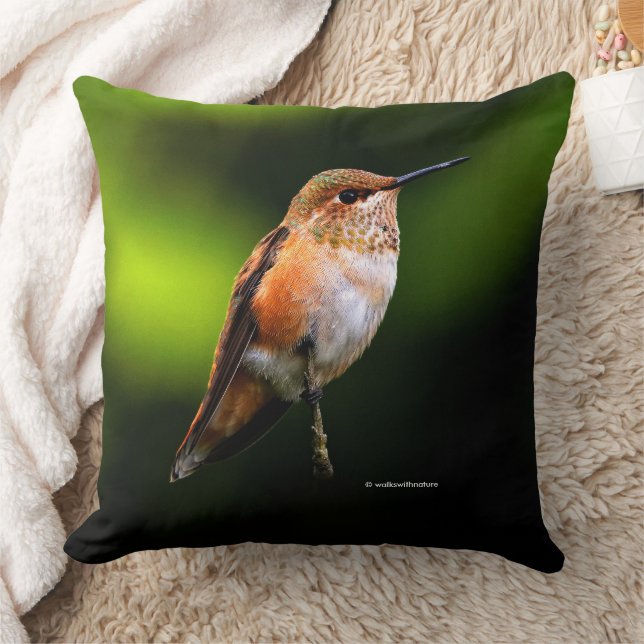 Coussin Colibri roux adorable sur arbre fruitier (Couverture)
