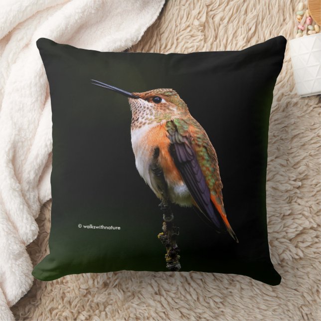 Coussin Colibri roux mignon sur arbre fruitier (Couverture)