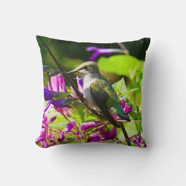 Coussin Colibri sur la Monnaie des colibris (Recto)