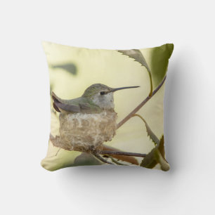 Coussin Colibri sur son nid