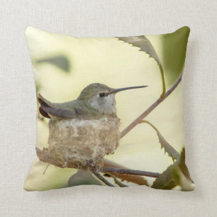 Coussin Colibri sur son nid