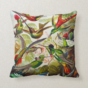 Coussin Colibri Vintage par Ernst Haeckel