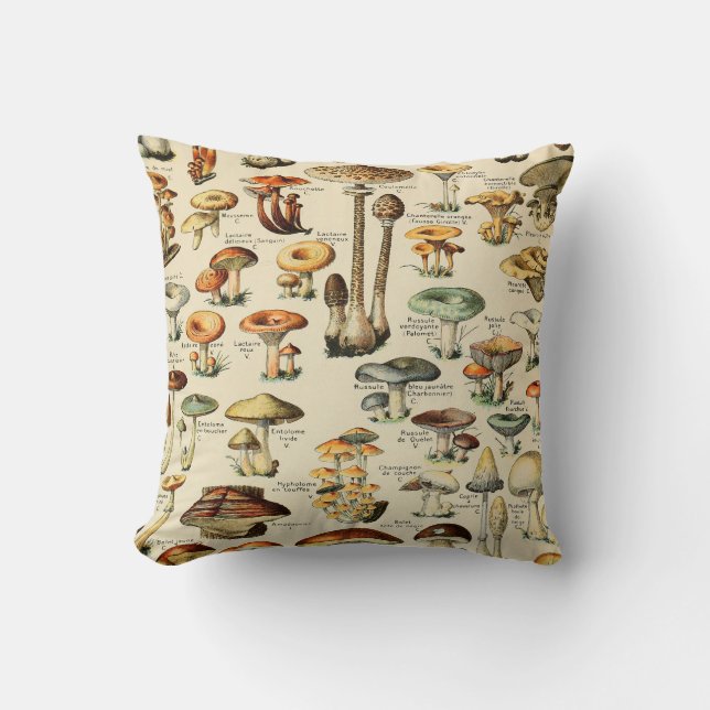 Coussin Collection de champignons   (Recto)