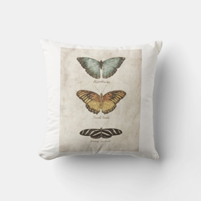 Coussin Collection de papillons (Recto)