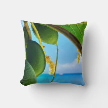 Collection Essence Tropicale - Fruits Tropicaux &