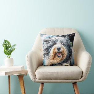 Coussin Collie À Porte Dans La Fenêtre De Voiture
