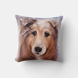 COUSSIN COLLIE FAMILIALE AMICALE