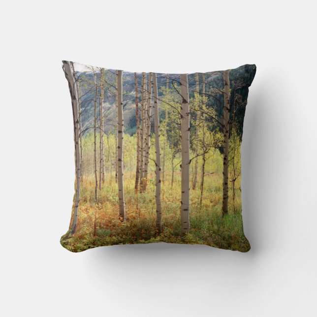 Coussin Colorado, Couleurs d'automne des trembles (Recto)