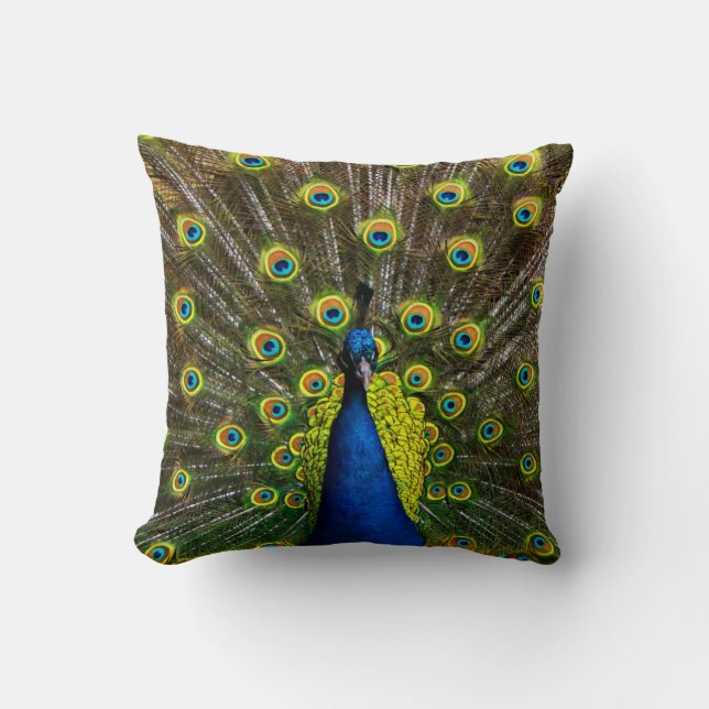 Coussin Colorful peacock (Recto)