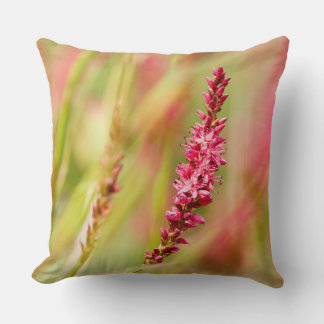 Coussin coloris