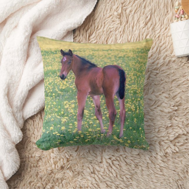 Coussin Colt dans le champ de Dandelion (Couverture)