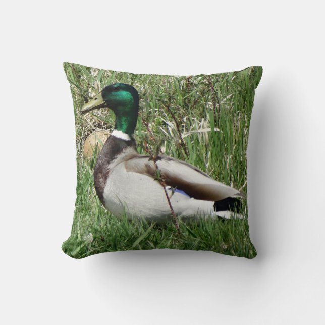Coussin Colvert mâle B55 Canard siffleur dans l'herbe (Recto)