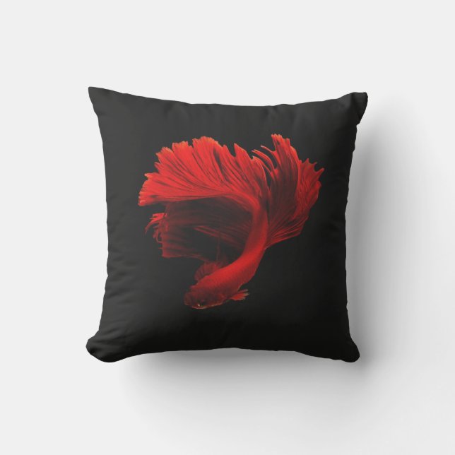 Coussin Combattant siamois rouge rubis (Recto)