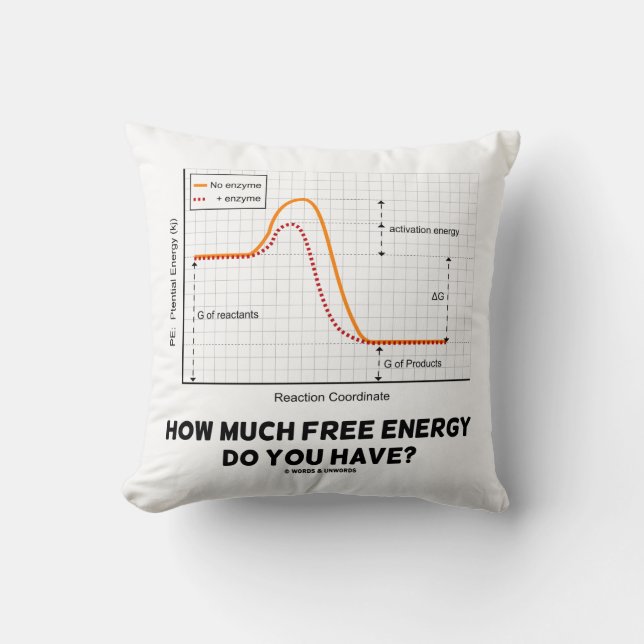 Coussin Combien D'Énergie Libre Avez-Vous ? Humour de chim (Recto)