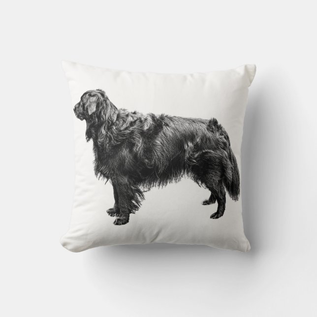 Coussin Compagnon de porche à lanterne (Recto)