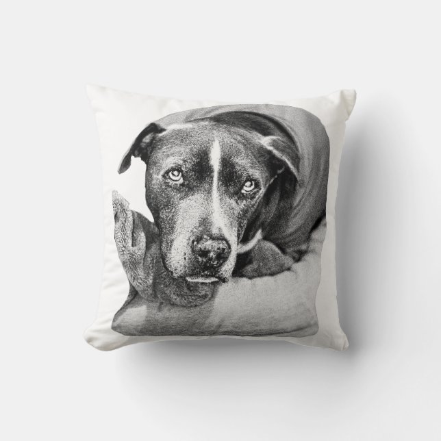 Coussin Compagnon du soir de la récolte (Recto)