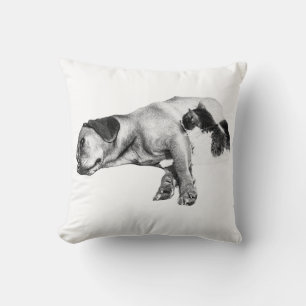 Coussin Compagnons citrouilles